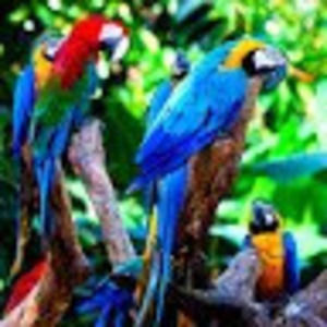 Meet your Posher, Isabel